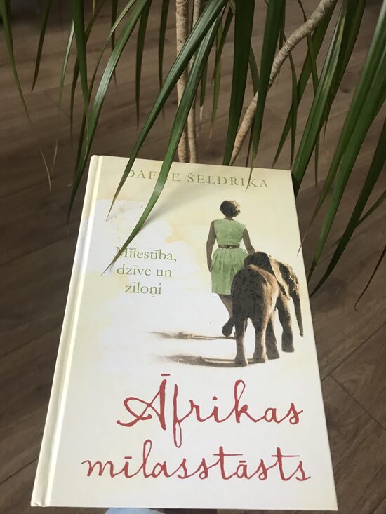 Āfrikas mīlasstāsts. Dafne Šeldrika