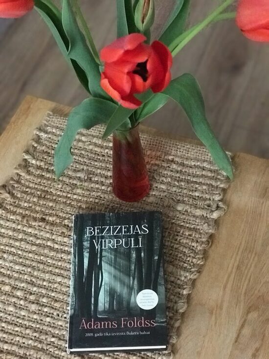 Bezizejas virpulī. Ādams Foldss