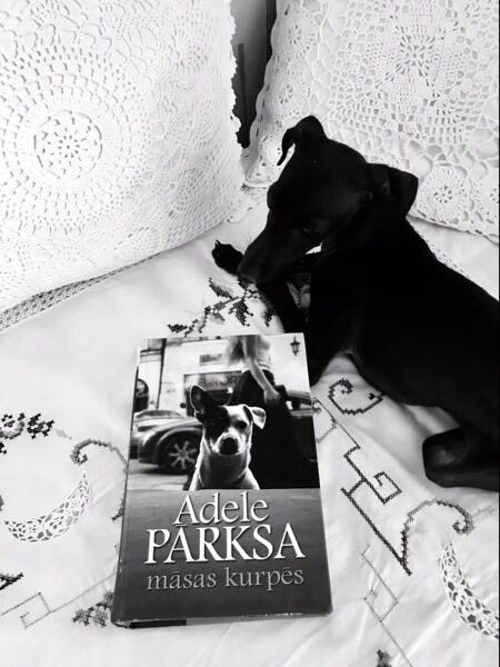 Māsas kurpēs. Adele Parksa