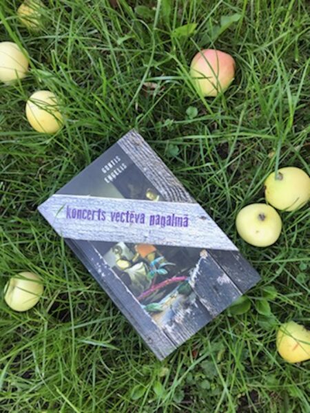 Koncerts vectēva pagalmā. Guntis Eņģelis